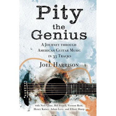 Pity the Genius: A Journey through American Guitar Music in 33 Tracks