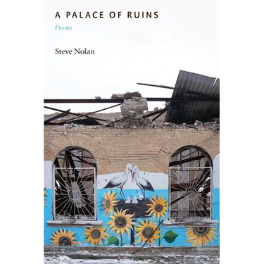 A Palace of Ruins: Poems
