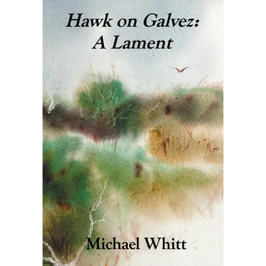 Hawk on Galvez: A Lament