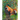 Hope Mountain: Fox Trails