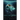 Shearwater