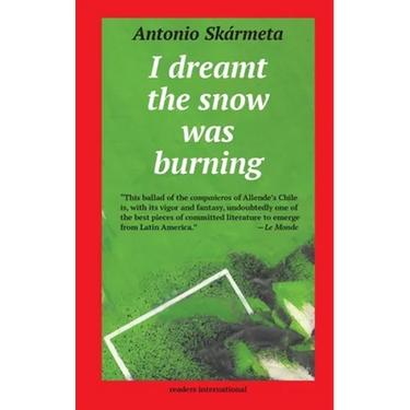 I Dreamt the Snow was Burning