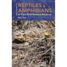Reptiles and Amphibians of Fort Ord Natural Reserve