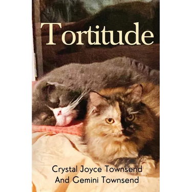 Tortitude