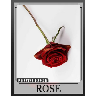 Rose Photo Book: Vibrant Collection Of Stunning Roses With 40 Images For Garden Lovers