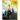 Towers of Light Series 24 Week Unit Study Workbook