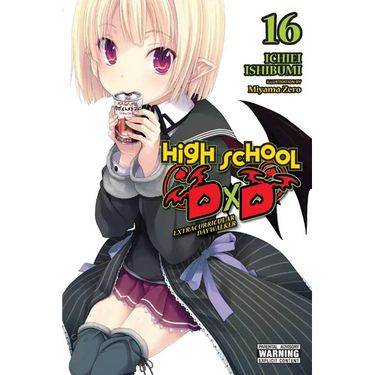 High School DXD, Vol. 16 (Light Novel)