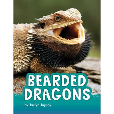 Bearded Dragons