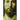 The Historical Christ and the Theological Jesus