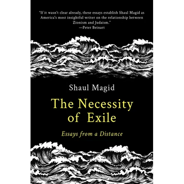 The Necessity of Exile: Essays from a Distance