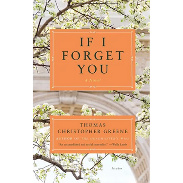 If I Forget You