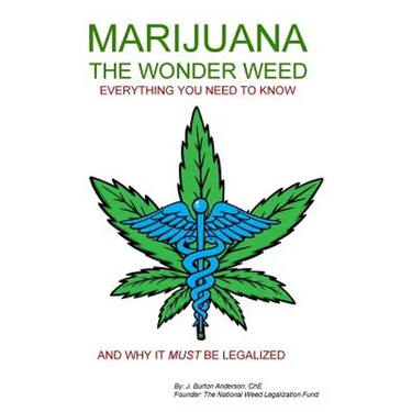 MARIJUANA - The Wonder Weed: Everything You Need To Know