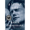 A Little Life
