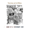 Diary of a Witchcraft Shop