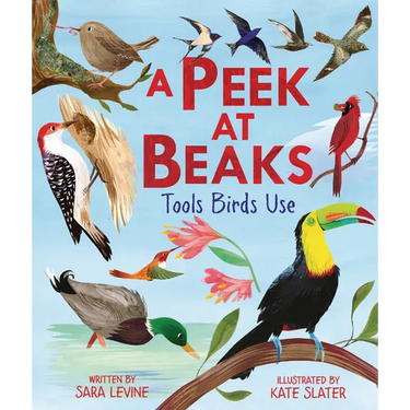 A Peek at Beaks: Tools Birds Use
