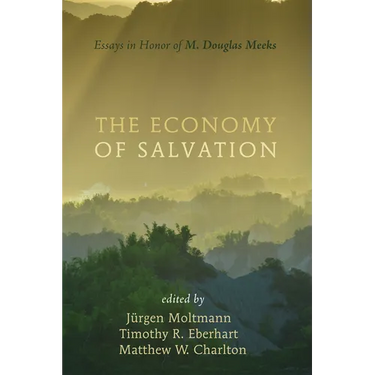 The Economy of Salvation: Essays in Honor of M. Douglas Meeks