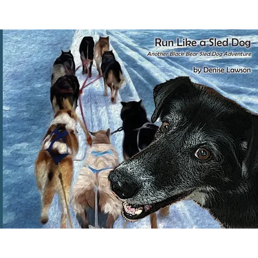 Run Like a Sled Dog: Another Black Bear Sled Dog Adventure