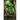 Her Orc Guardian: A Monster Fantasy Romance