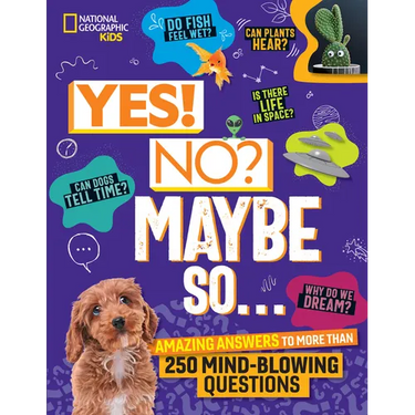 Yes! No? Maybe So...: Amazing Answers to More Than 250 Mind-Blowing Questions