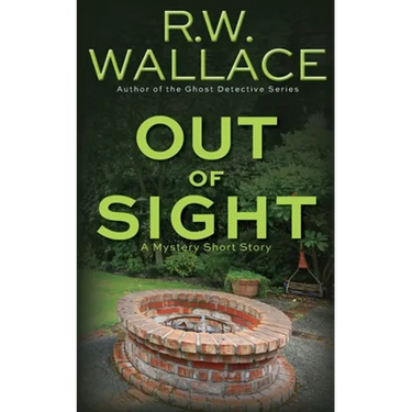 Out of Sight: A Mystery Short Story