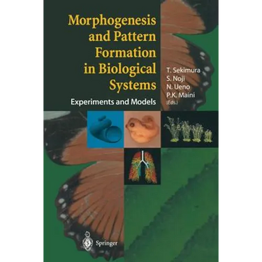 Morphogenesis and Pattern Formation in Biological Systems: Experiments and Models