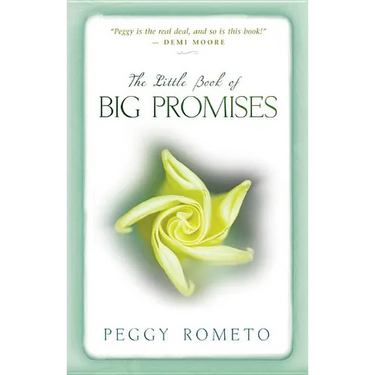 Little Book of Big Promises