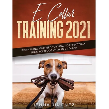 E Collar Training2021: Everything You Need to Know to Effectively Train Your Dog with an E Collar