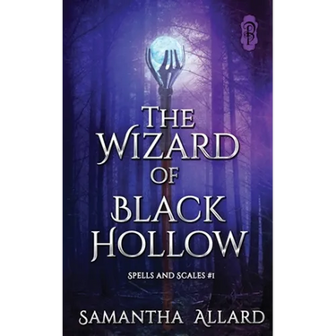 The Wizard of Black Hollow