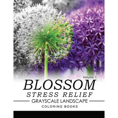 Blossom Stress Relief GRAYSCALE Landscape Coloring Books Volume 1