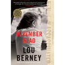 November Road: A Thriller