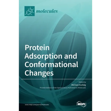 Protein Adsorption and Conformational Changes