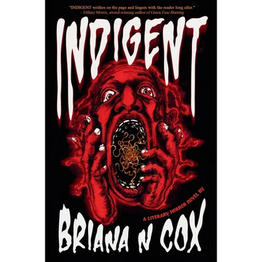 Indigent: A Literary Horror Novel