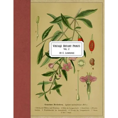 Vintage Botany Prints: Vol. 2