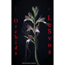Orchids of Lesvos