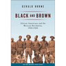 Black and Brown: African Americans and the Mexican Revolution, 1910-1920