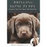 Bringing Home Puppy: Expert Tips for New Pet Parents: Essential Guidance and Practical Advice for Puppy Parenthood