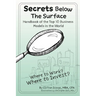 Secrets Below The Surface - Handbook of the Top 10 Business Models in the World: Where to Work? Where to Invest?