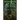 Whispers of an Old Soul