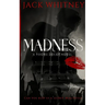 Madness: A Masked Rockstar Romance