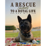 A Rescue Journey to a Royal Life