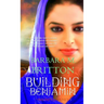 Building Benjamin: Naomi's Journey Volume 2