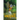 The Kingfisher