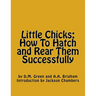 Little Chicks: How To Hatch and Rear Them Successfully