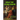 What The Living Know: A Novel of Suicide and Philosophy