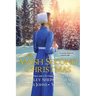 An Amish Second Christmas