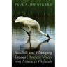 Sandhill and Whooping Cranes: Ancient Voices Over America's Wetlands