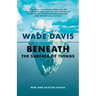 Beneath the Surface of Things: New and Selected Essays