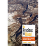 As Precious as Blood: The Western Slope in Colorado's Water Wars, 1900-1970