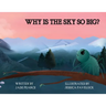 Why Is the Sky So Big?