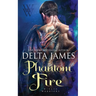 Phantom Fire: A Small Town Surprise Baby Dragon Shifter Romance